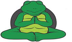 Turtle Meditating